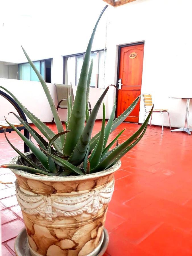 Hotel Las Palmas Аріка Екстер'єр фото